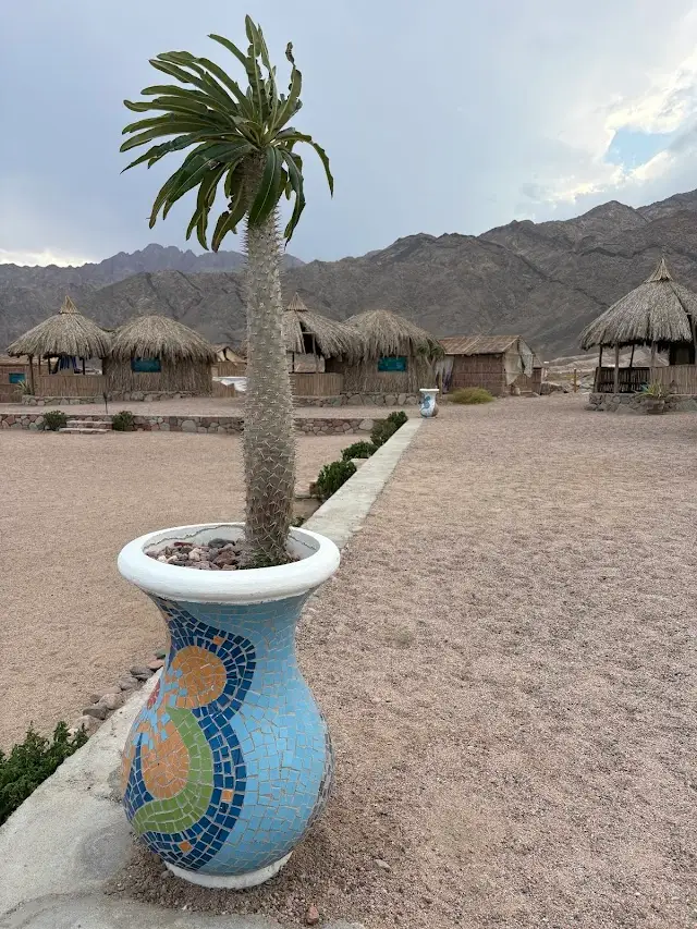 Ras Abu Galum