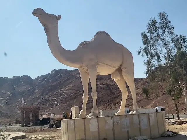 Camel statue